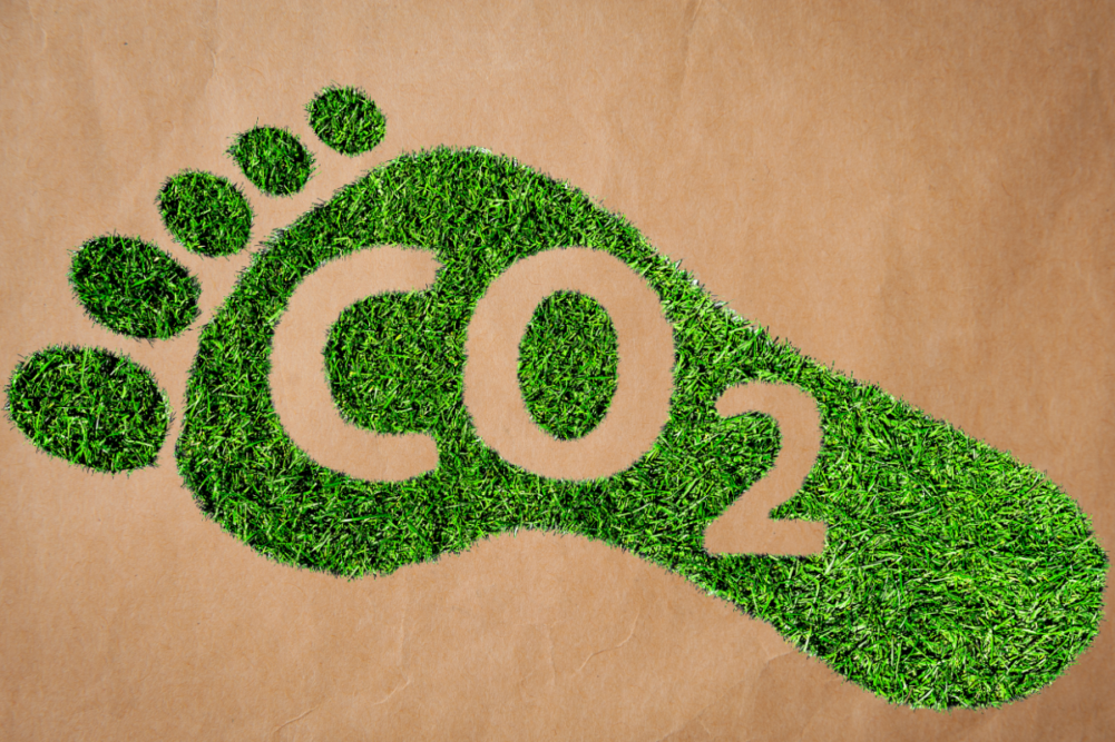 grass footprint with CO2 label