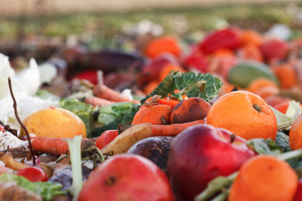 Food waste unused produce