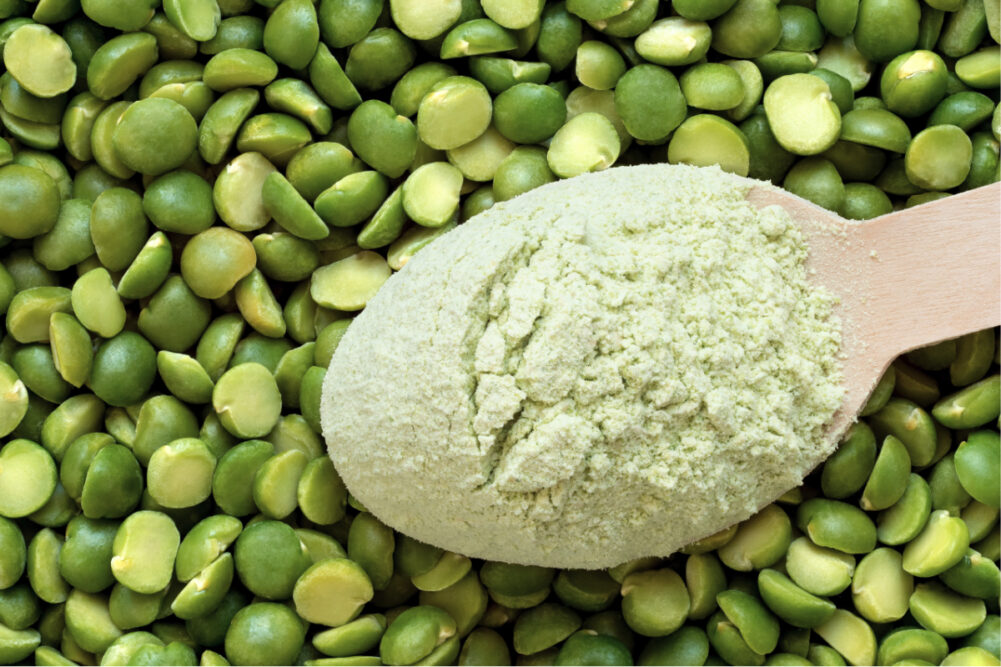 Pea powder