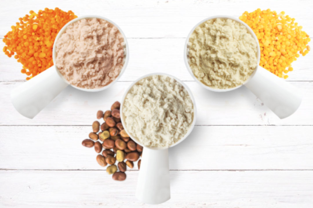 Australian Plant Proteins Faba Bean Isolate Powder, Yellow Lentil Isolate Powder and Red Lentil Isolate Powder