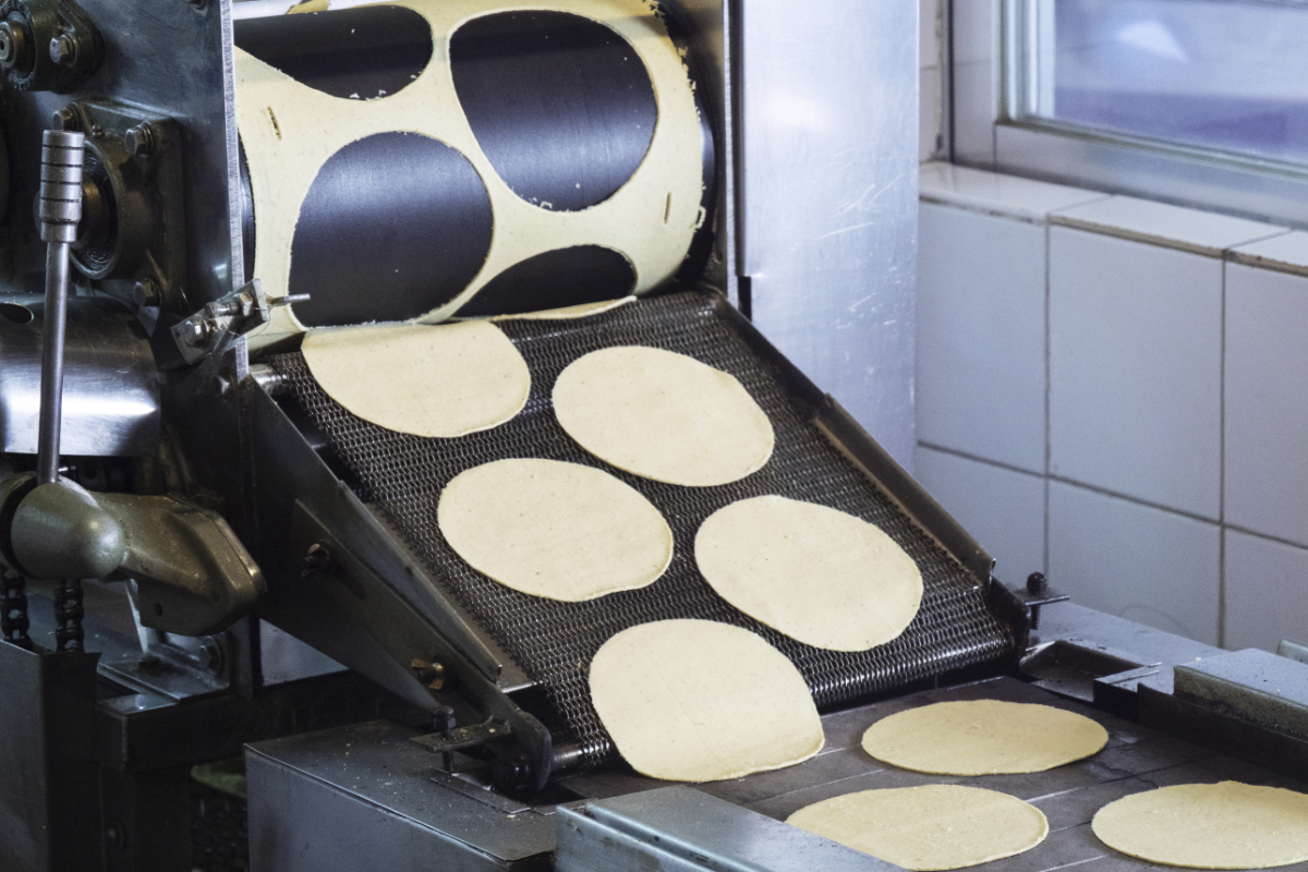 Tortilla machine best sale