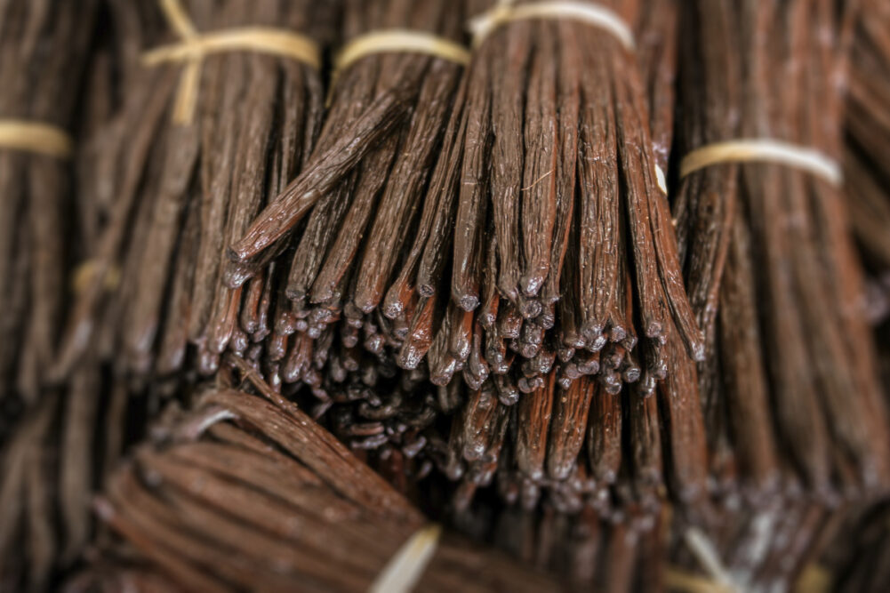 Bundles of vanilla beans