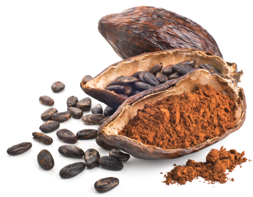 Cocoa pod, beans and powder