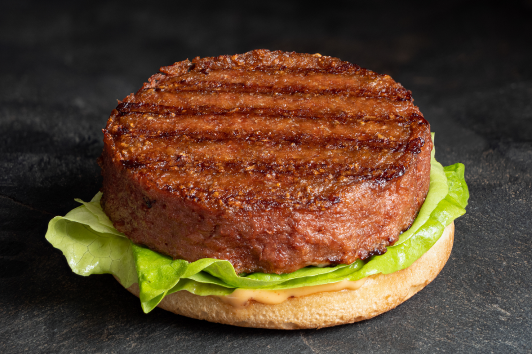 plant-based burger patty