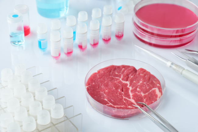 Meat sample in open disposable plastic cell culture dish in modern laboratory