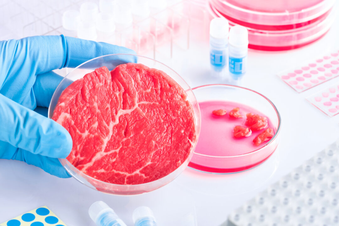 Groups of cattlemen object to White House biotech EO's promotion of cell-cultured meat CellBasedMeat Lead1