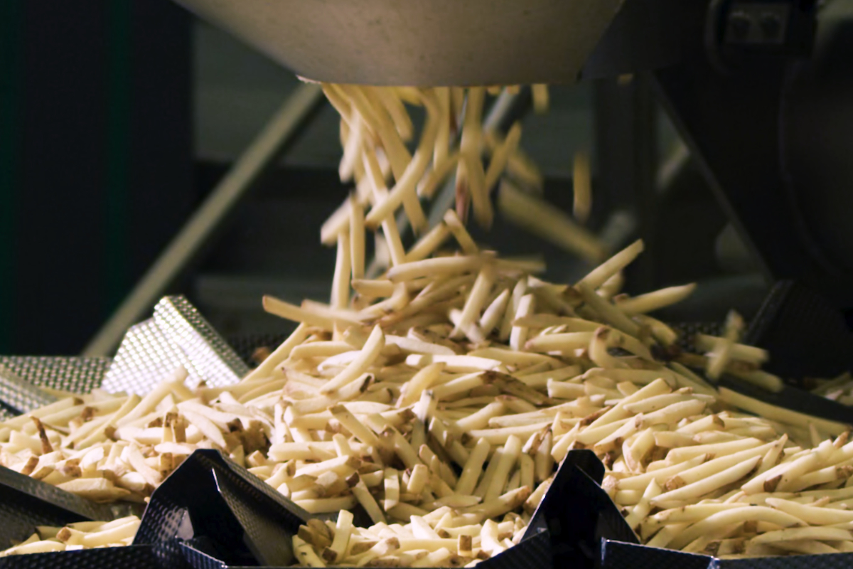 Lamb Weston fry production