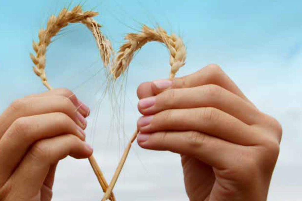 Wheat in the shape of a heart