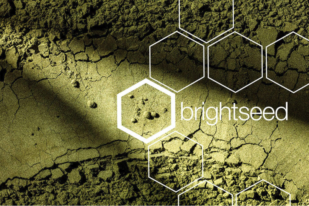 Brightseed logo overlayed over plant-based powder