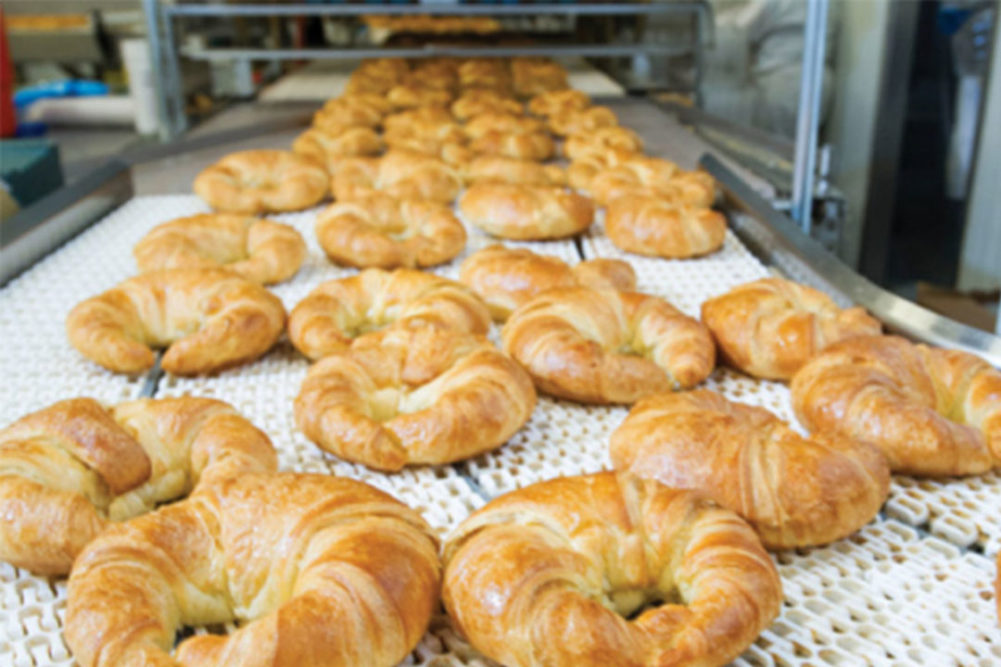 Croissants on industrial baking line