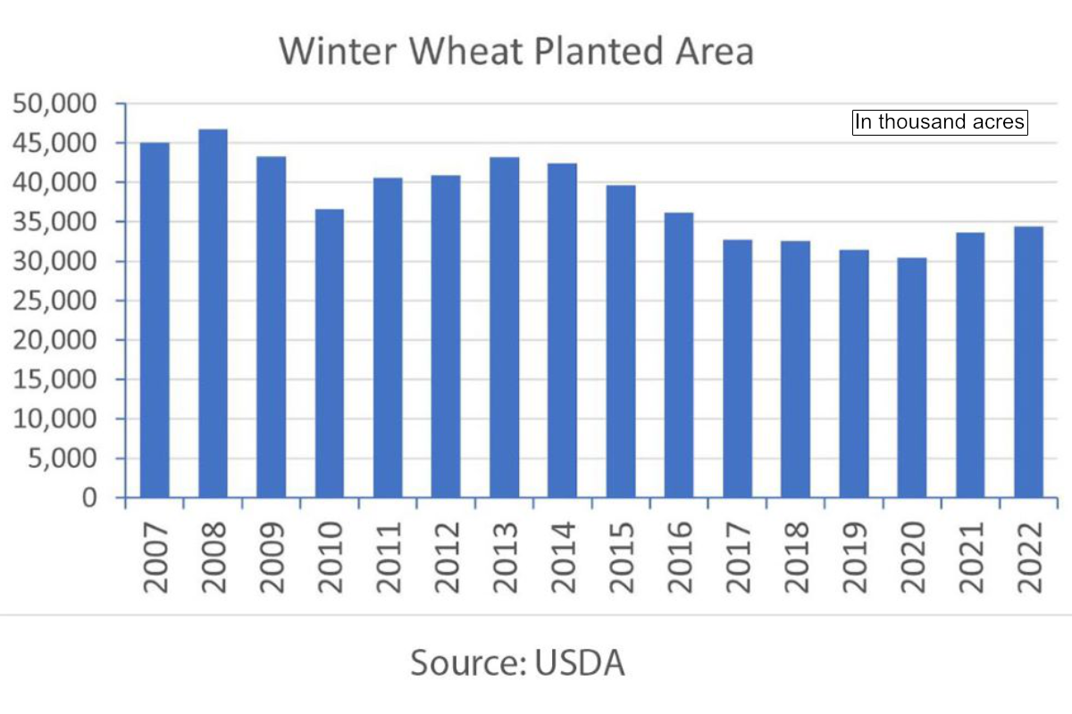 Graph of wheat production