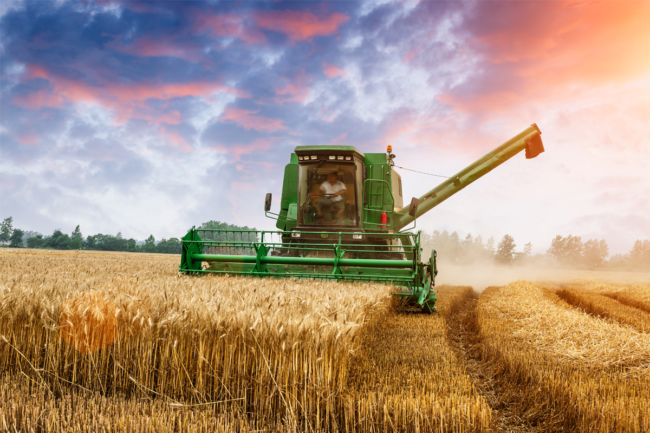 Machine Harvesting Wheat