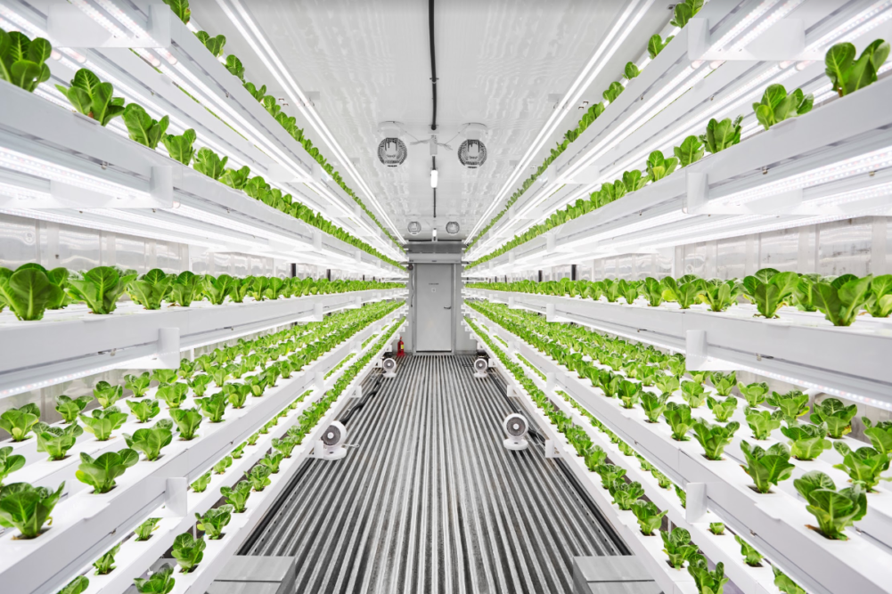 Vertical farming technology from N.Thing 