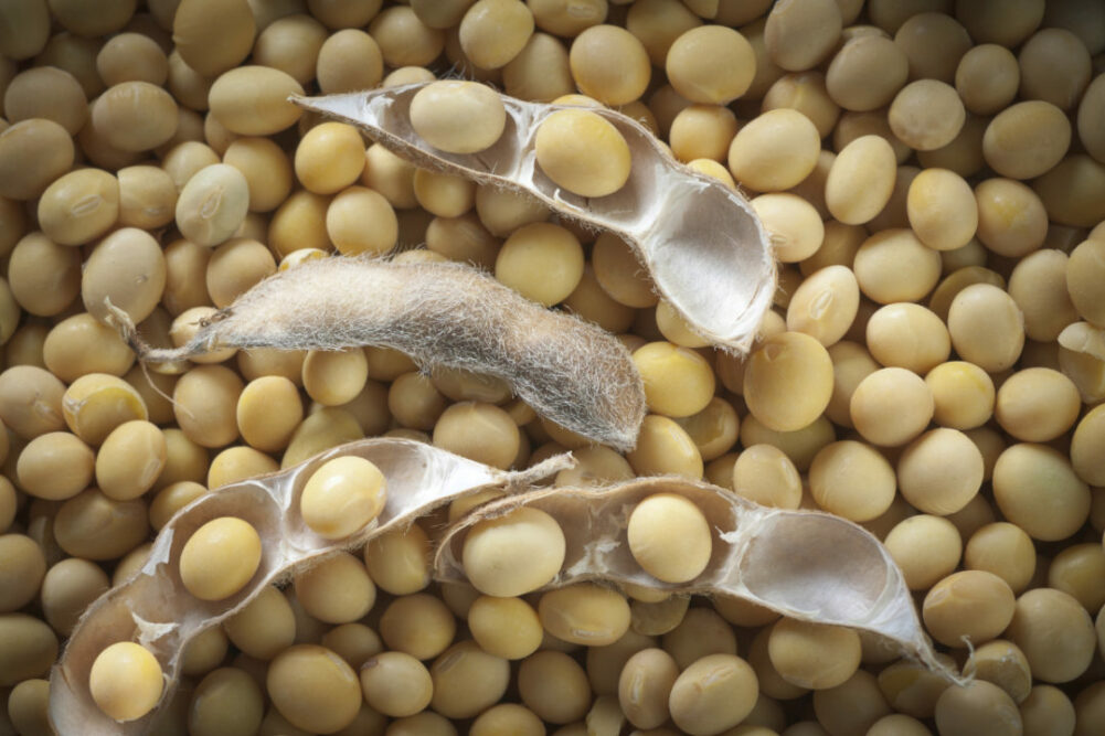 Soybeans