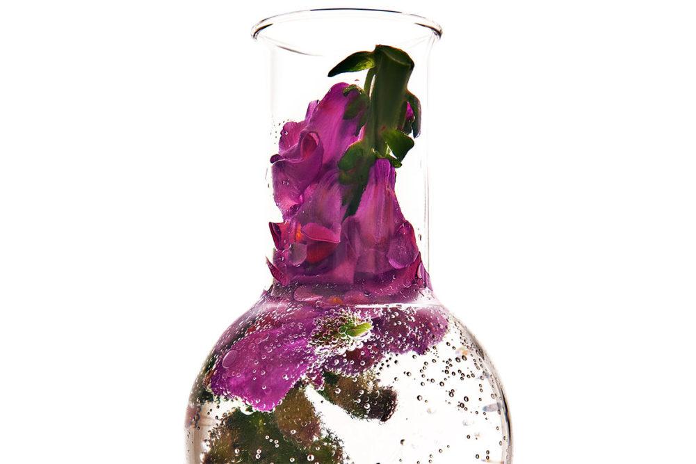 Fragrance in a jar