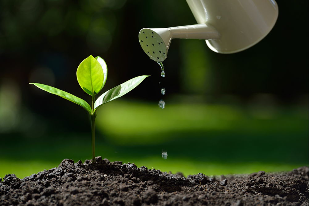 Can watering plant