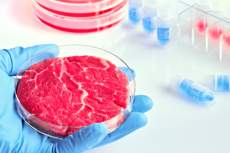 Investing in meat alternatives info redskins cowboys betting line december 7