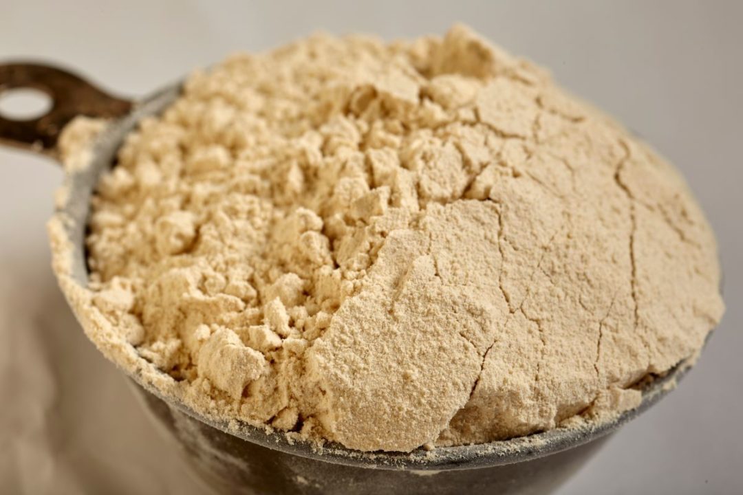 Wheat gluten powder