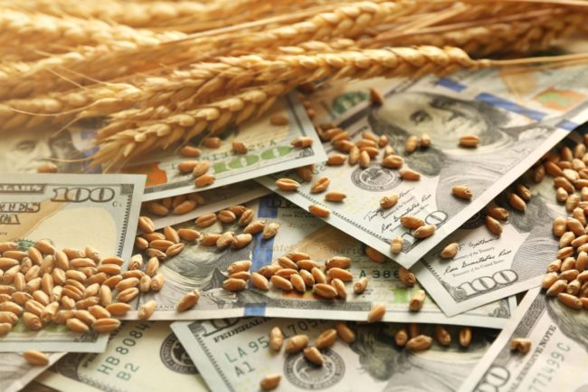 Wheat grains on U.S. dollar bills