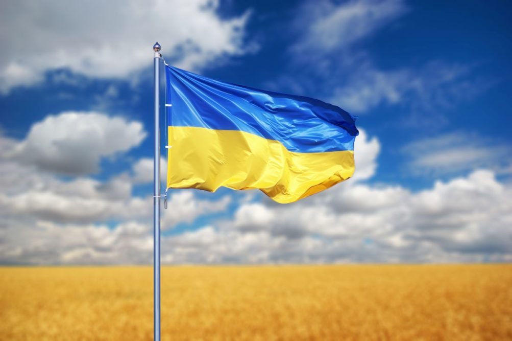 Ukrainian flag in a wheat field