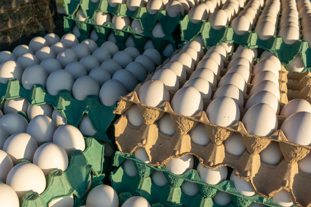 Egg cartons in a stack