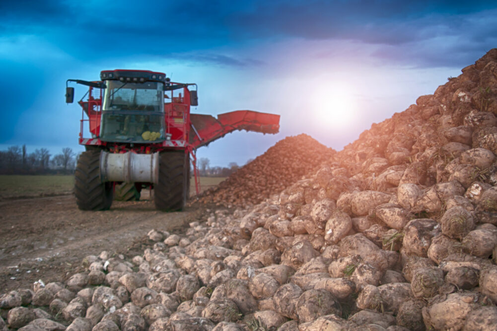 Sugar Beet Harvester