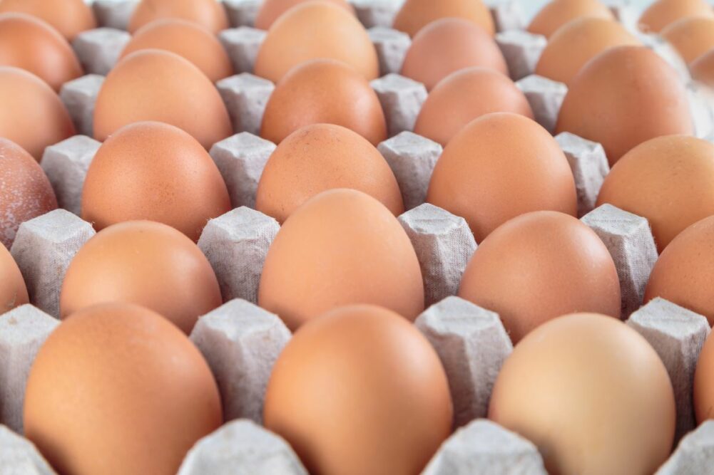 Eggs in a cardboard carton