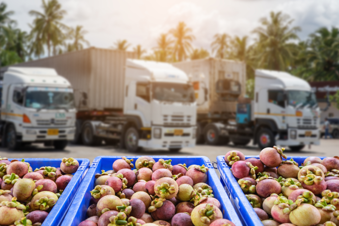 Trucks loading tropical fruit