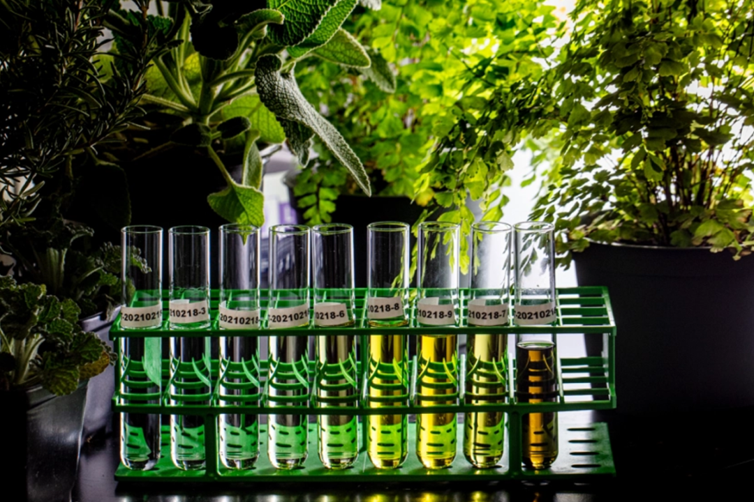 Brightseed test tubes