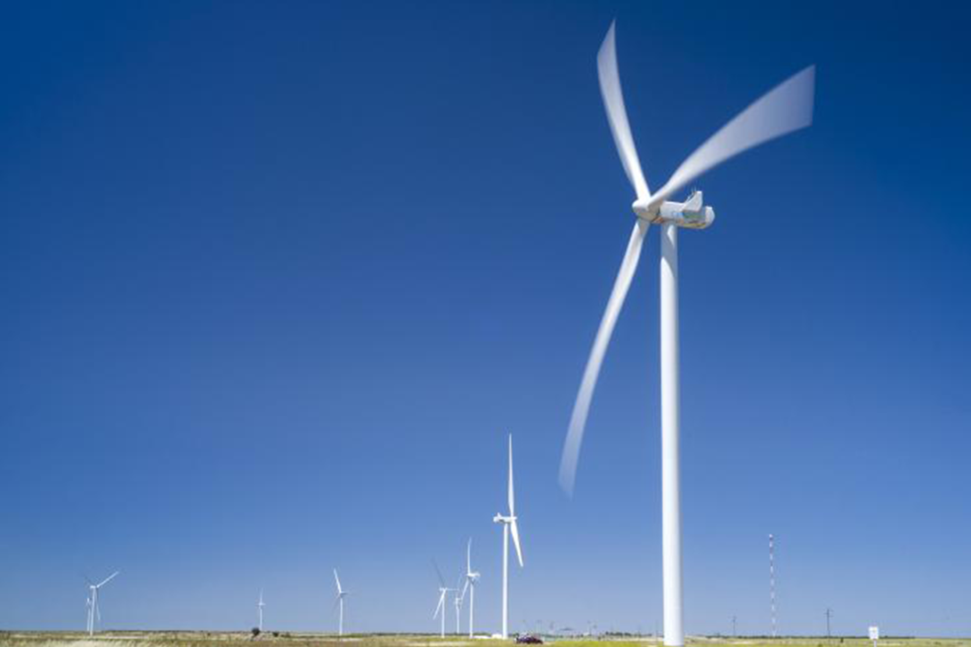 Grupo Bimbo Wind Farm