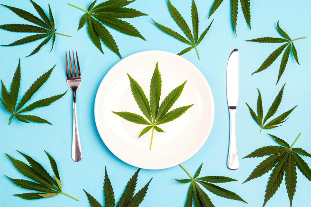 Cannabis leaves on a food plate