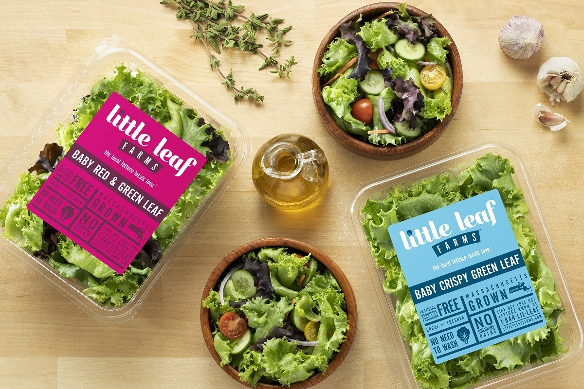 Little Leaf Lettuce products
