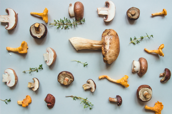 Various kinds of mushrooms