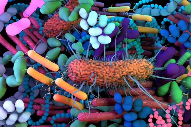 The human microbiome