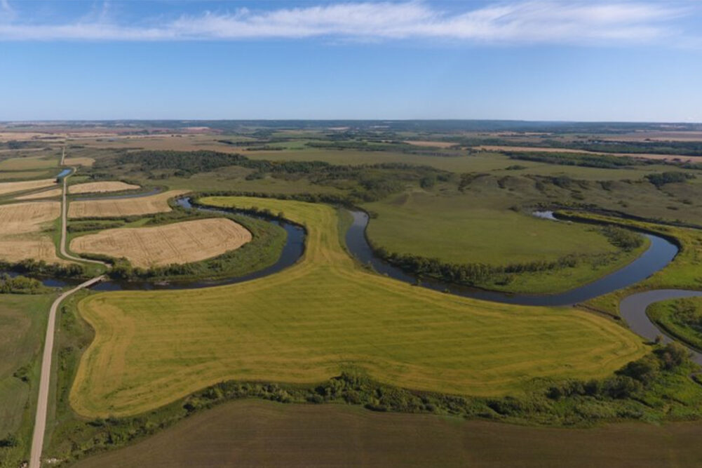 Assiniboine