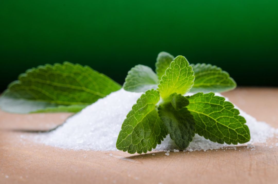 Stevia with mint leaves