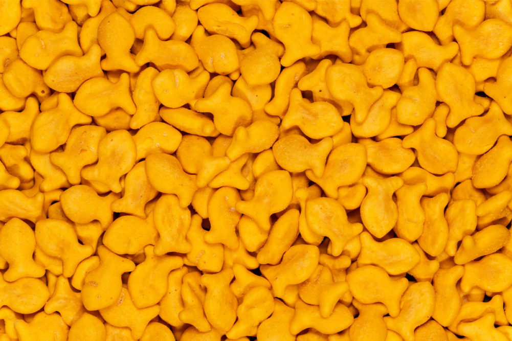 Ad Age recognizes Goldfish in 'America's Hottest Brands 2022' | Food  Business News