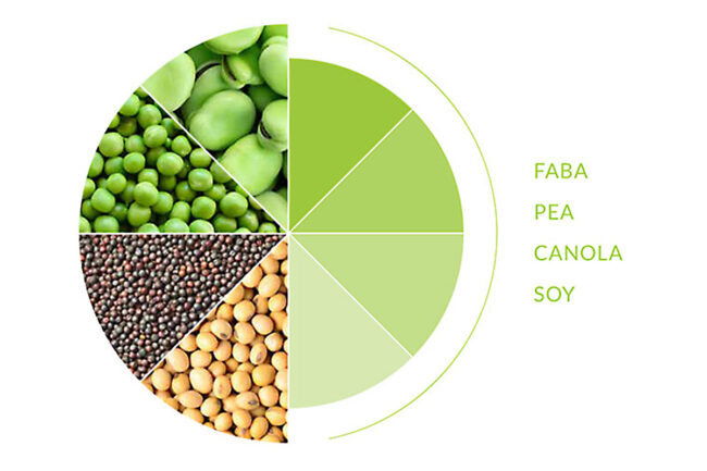 Pie chart with different beans