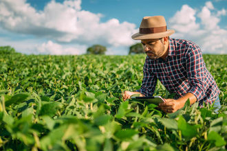 Man in a crop field