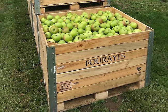 Fourayes fruit