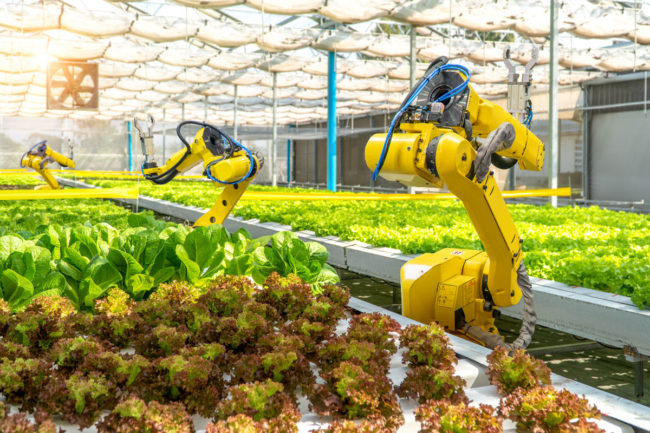 Robotic agro 
