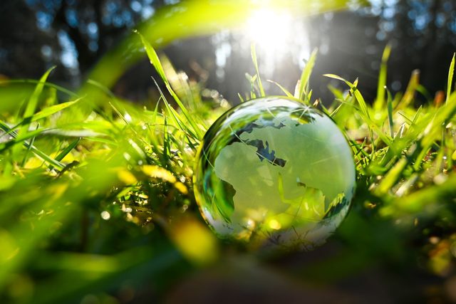 A reflective globe in the grass