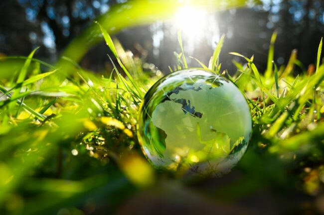 A reflective globe in the grass