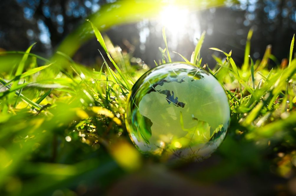 A reflective globe in the grass