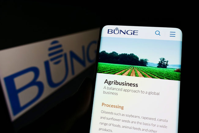 Bunge website open on a smartphone