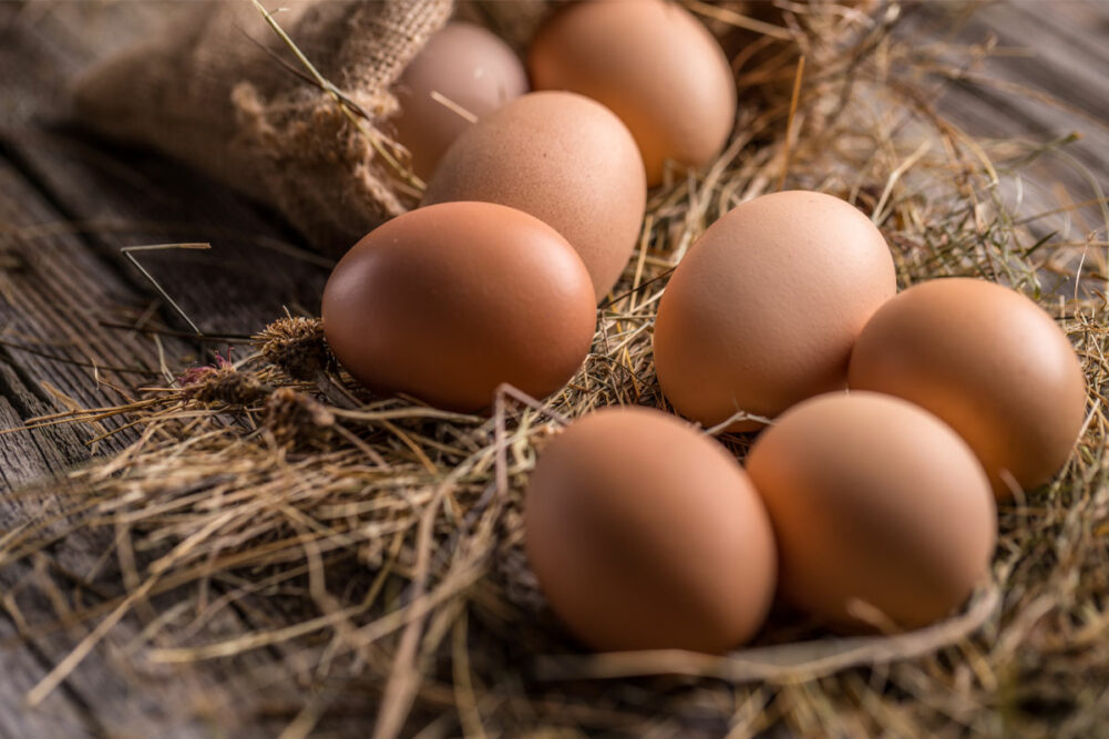 Brown eggs