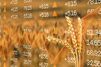 Wheat in front of stock prices