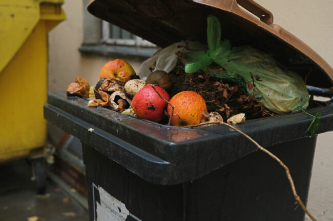 Food waste