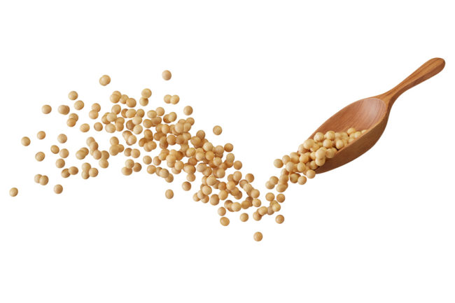Grain being flung from a spoon