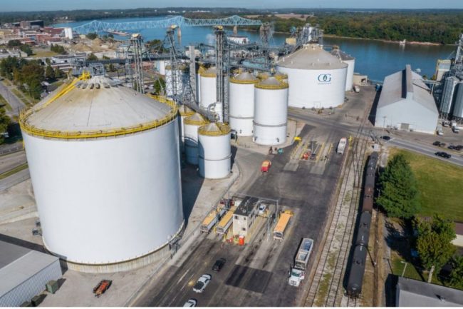 Owensboro grain company silos